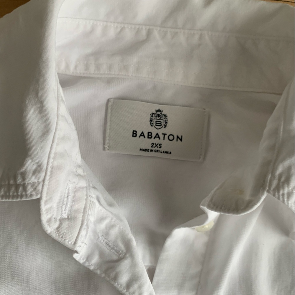 ARITZIA Babaton - Hepburn shirt | Crisp White Button-Down Shirt - Picture 4 of 10